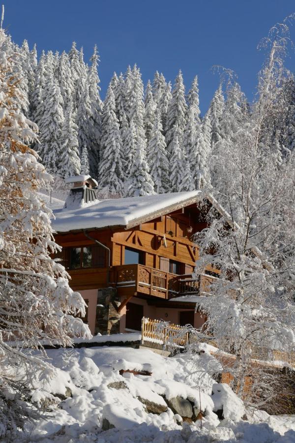 Les Saisies Cote Bisanne Appartement Dans Chalet Le Nepal Экстерьер фото